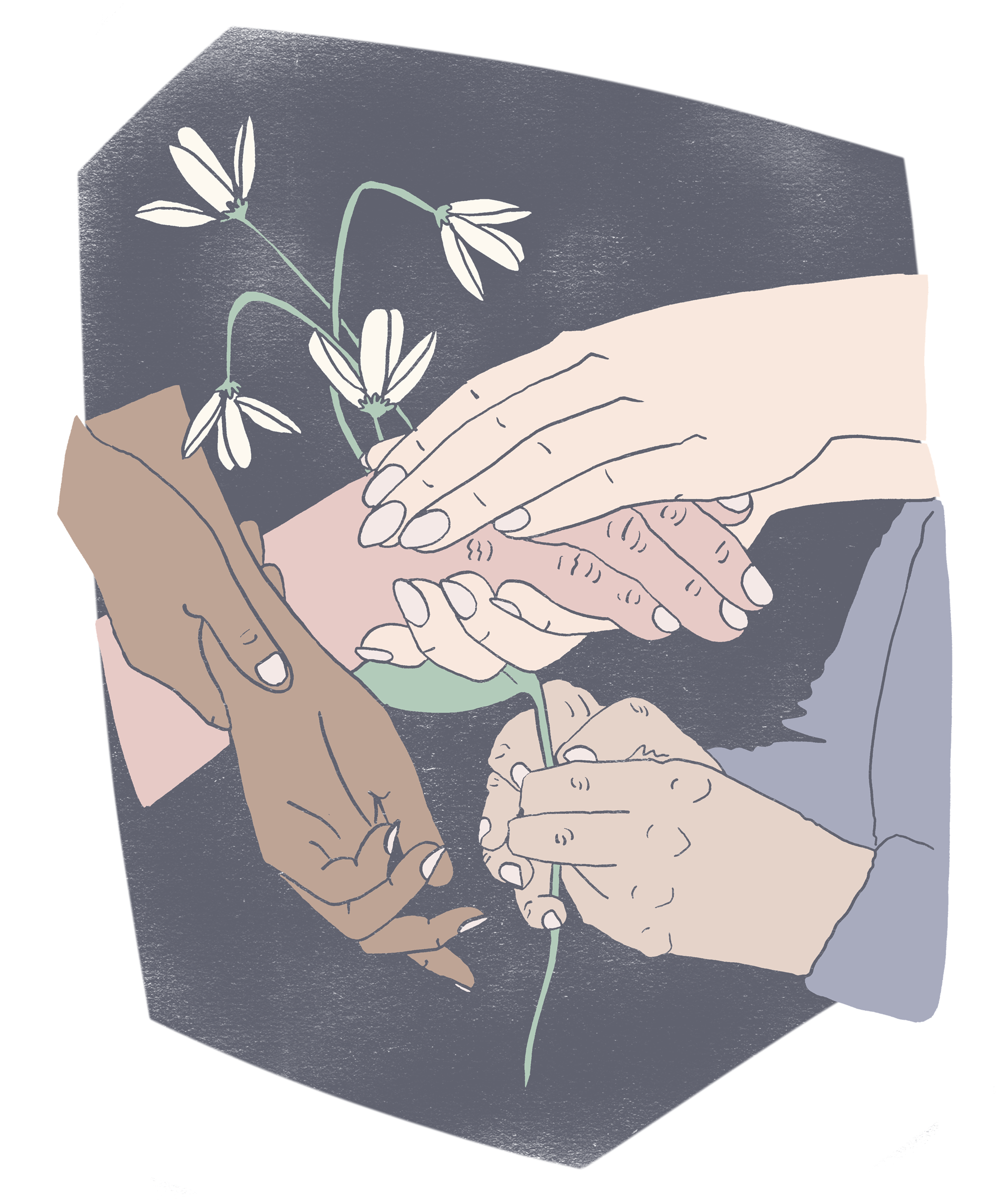 Sinai_Foundation.png