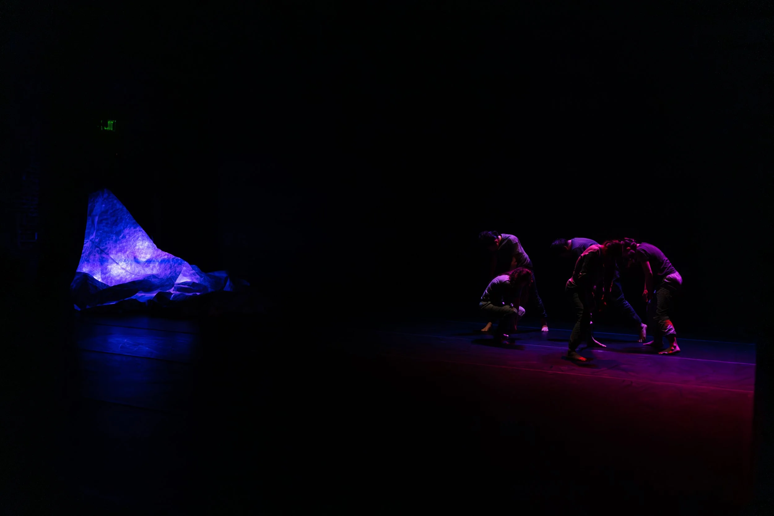 Intermediate Contemporary Performance Workshop