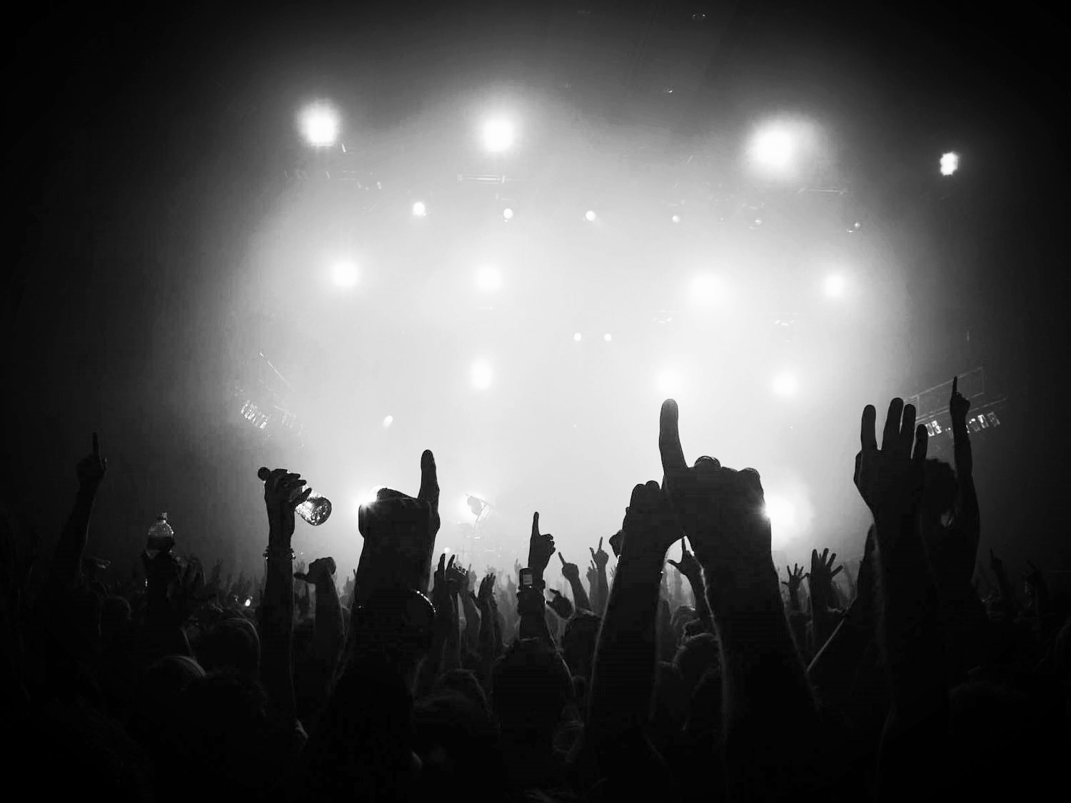 ConcertCrowd.jpg