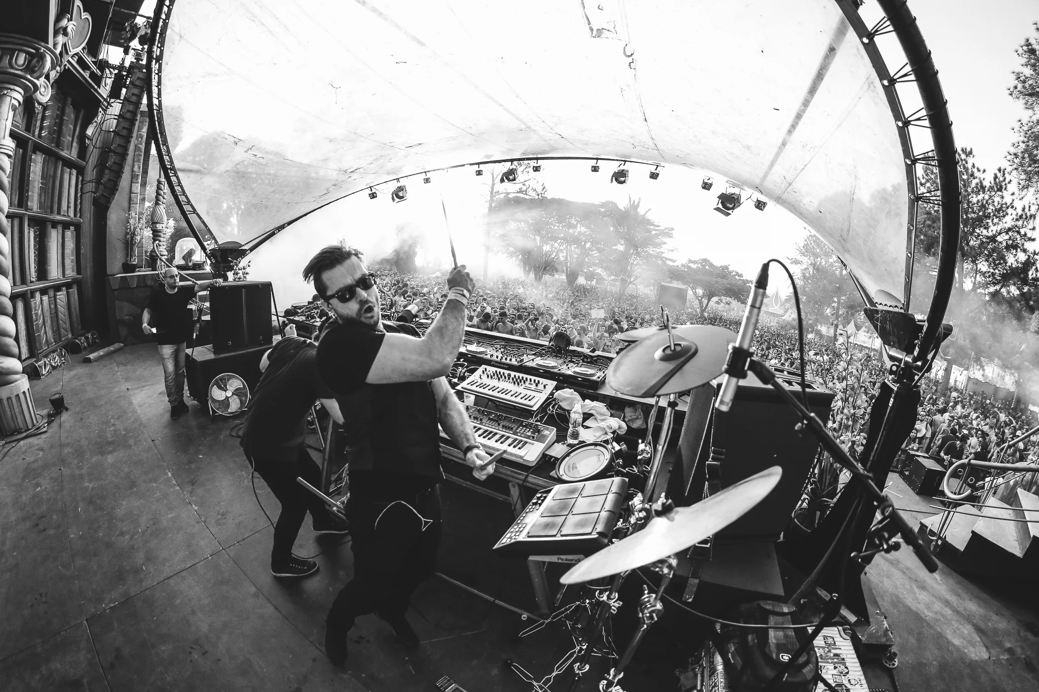Elekfantz live at Tomorrowland
