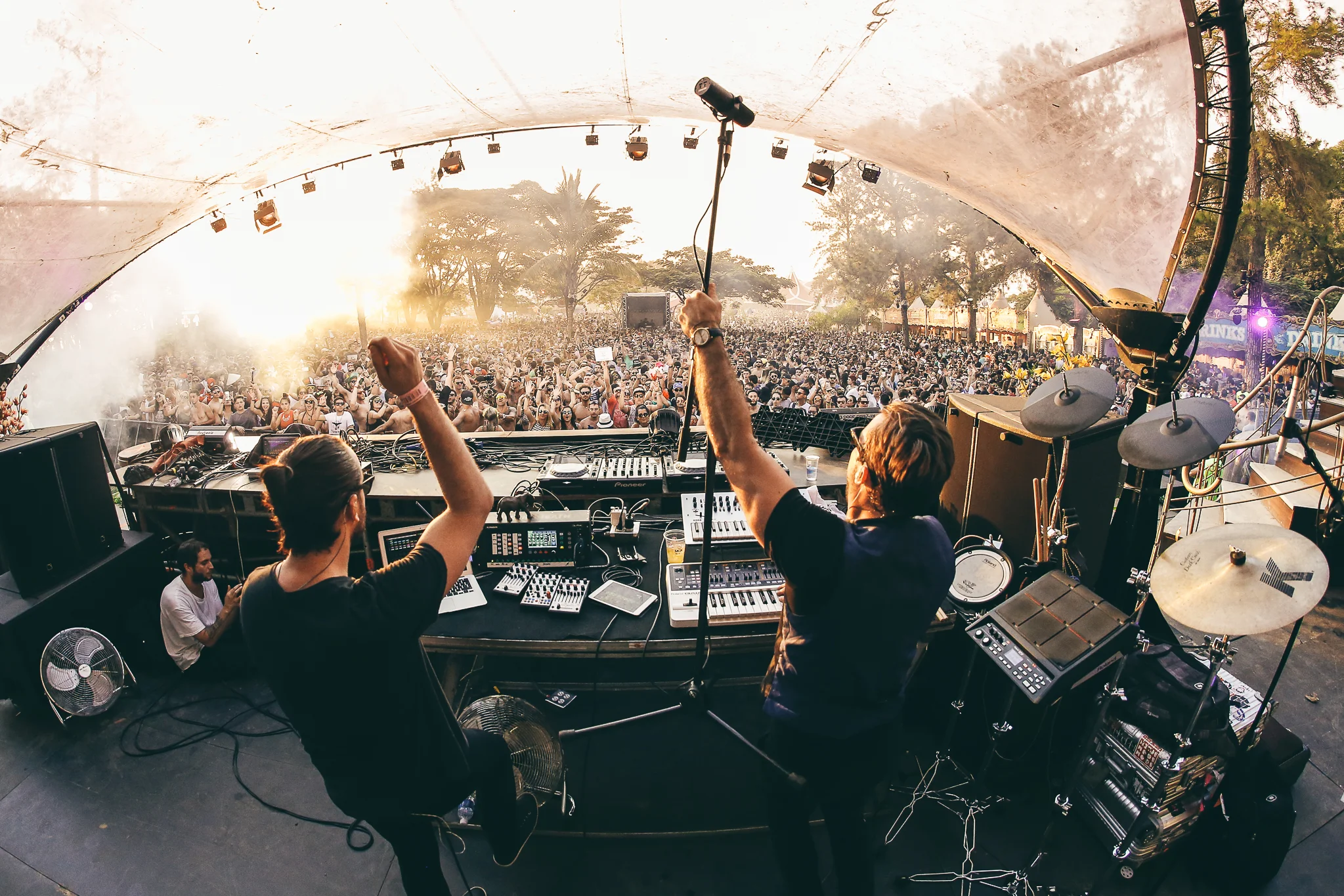 Elekfantz live at Tomorrowland.jpg