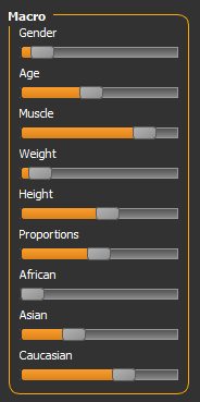 Maiko's macro settings.