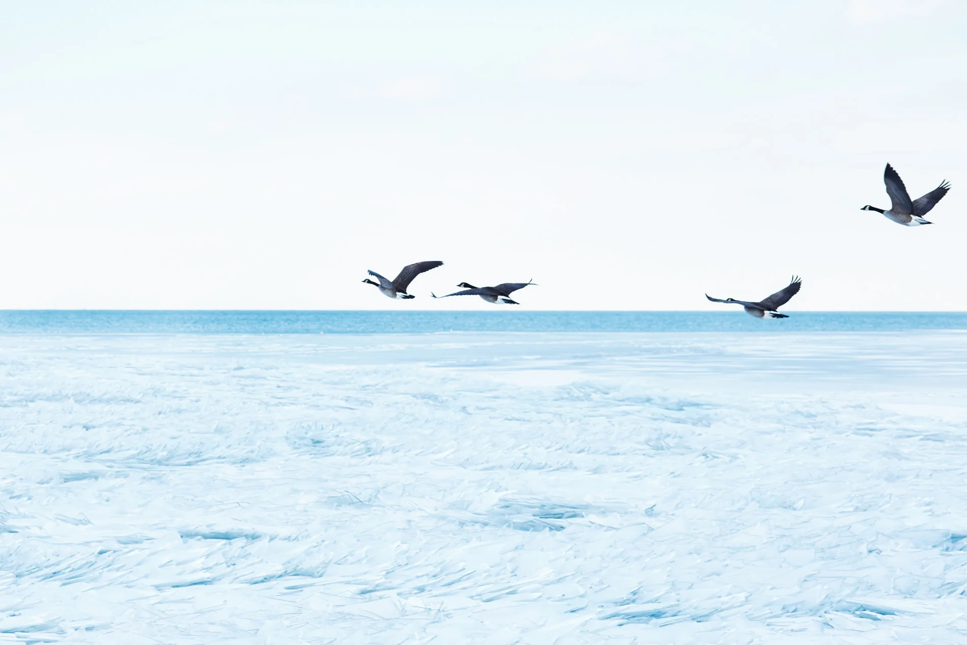 Travel00011.jpg