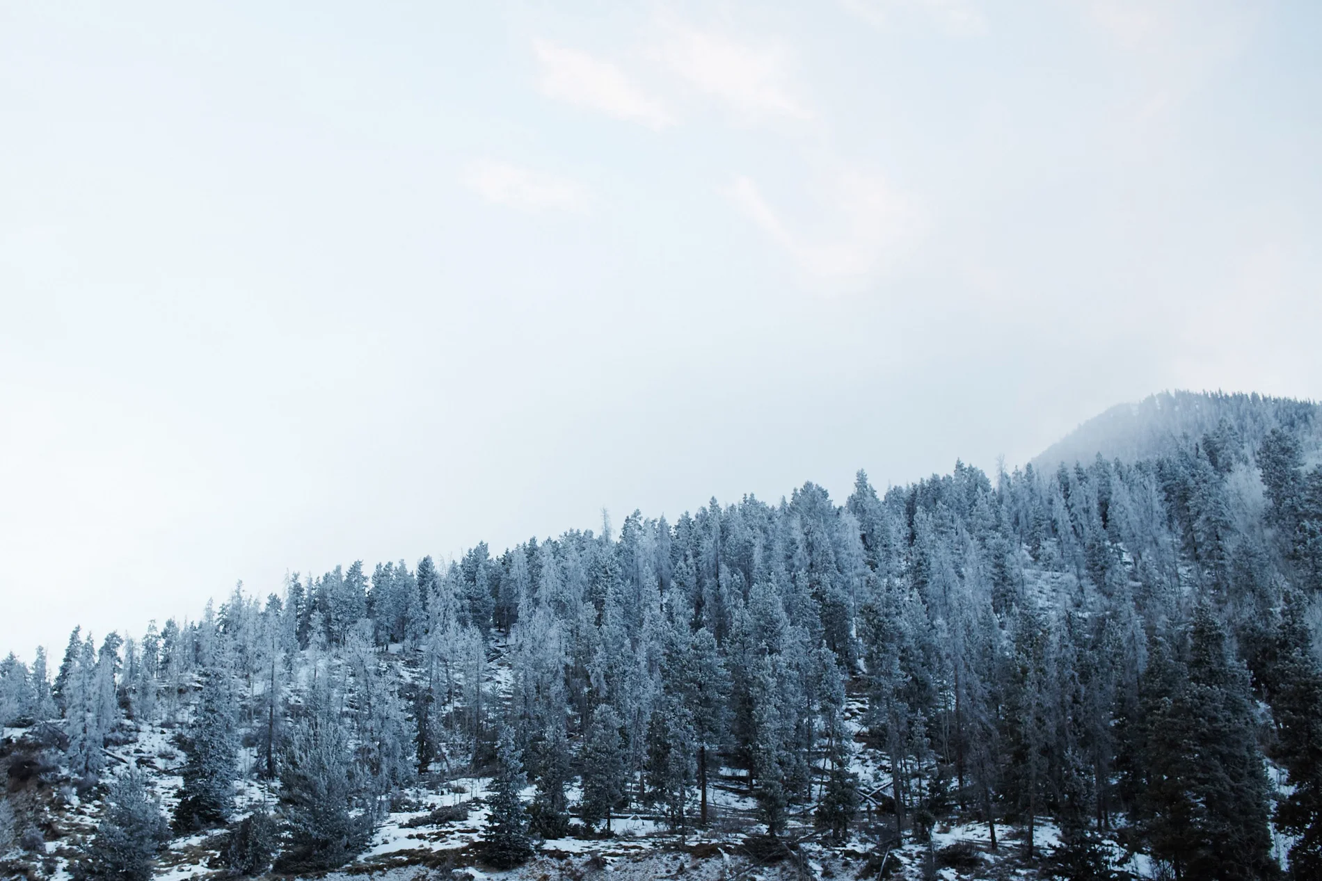 Travel00013.jpg
