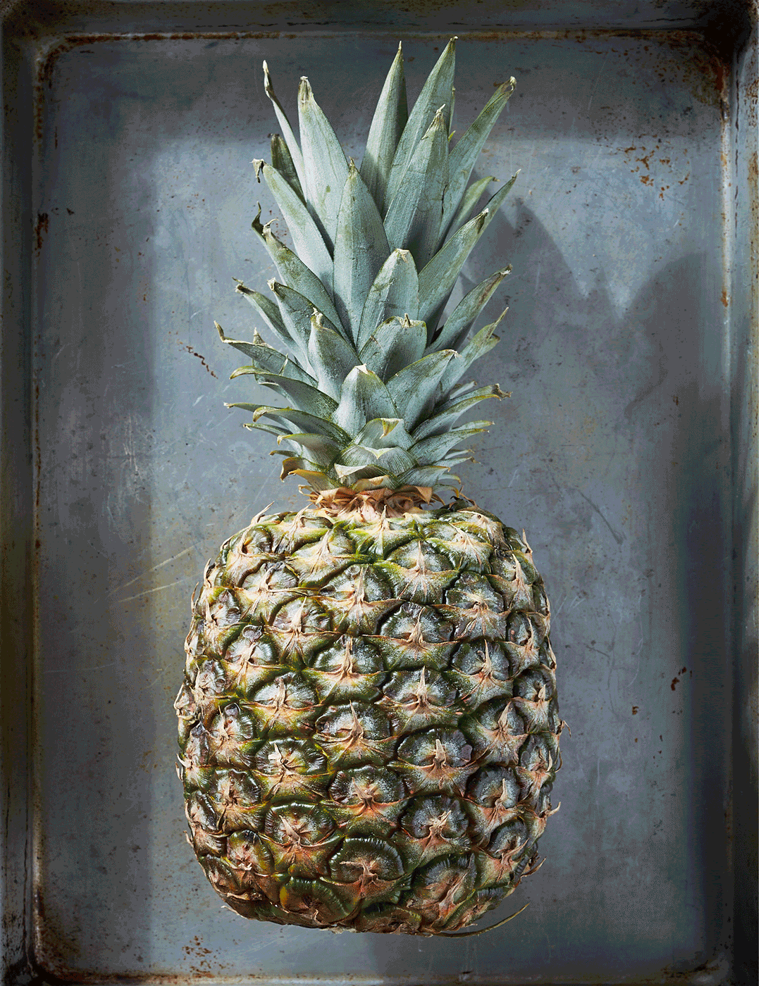 Pineapple.gif