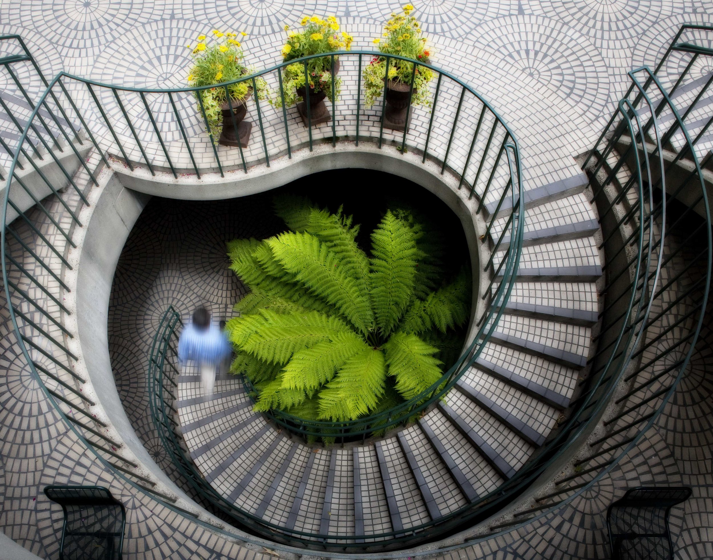 San Francisco Embarcadero spiral staircase movement
