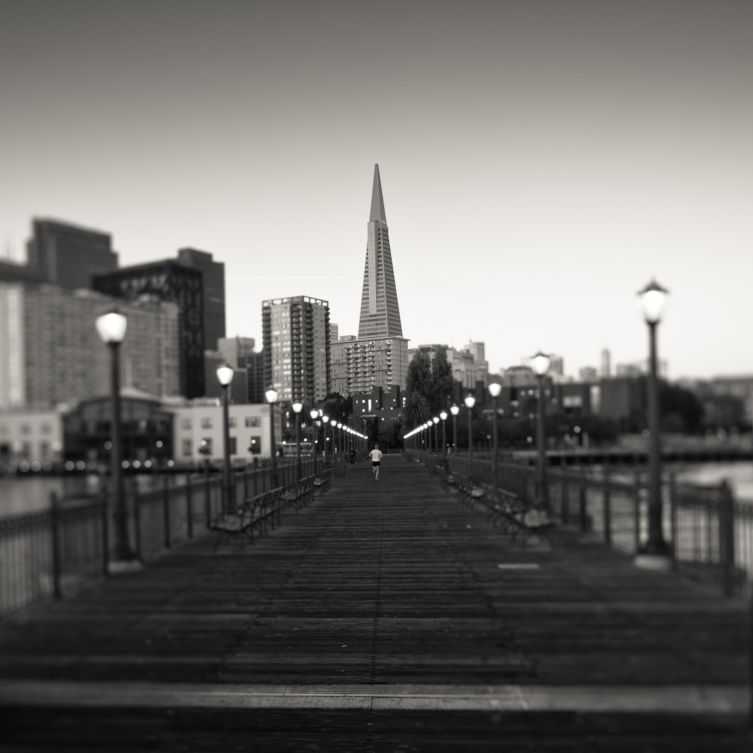 San Francisco embarcadero black white broadway pier transamerica pyramid runner starting line