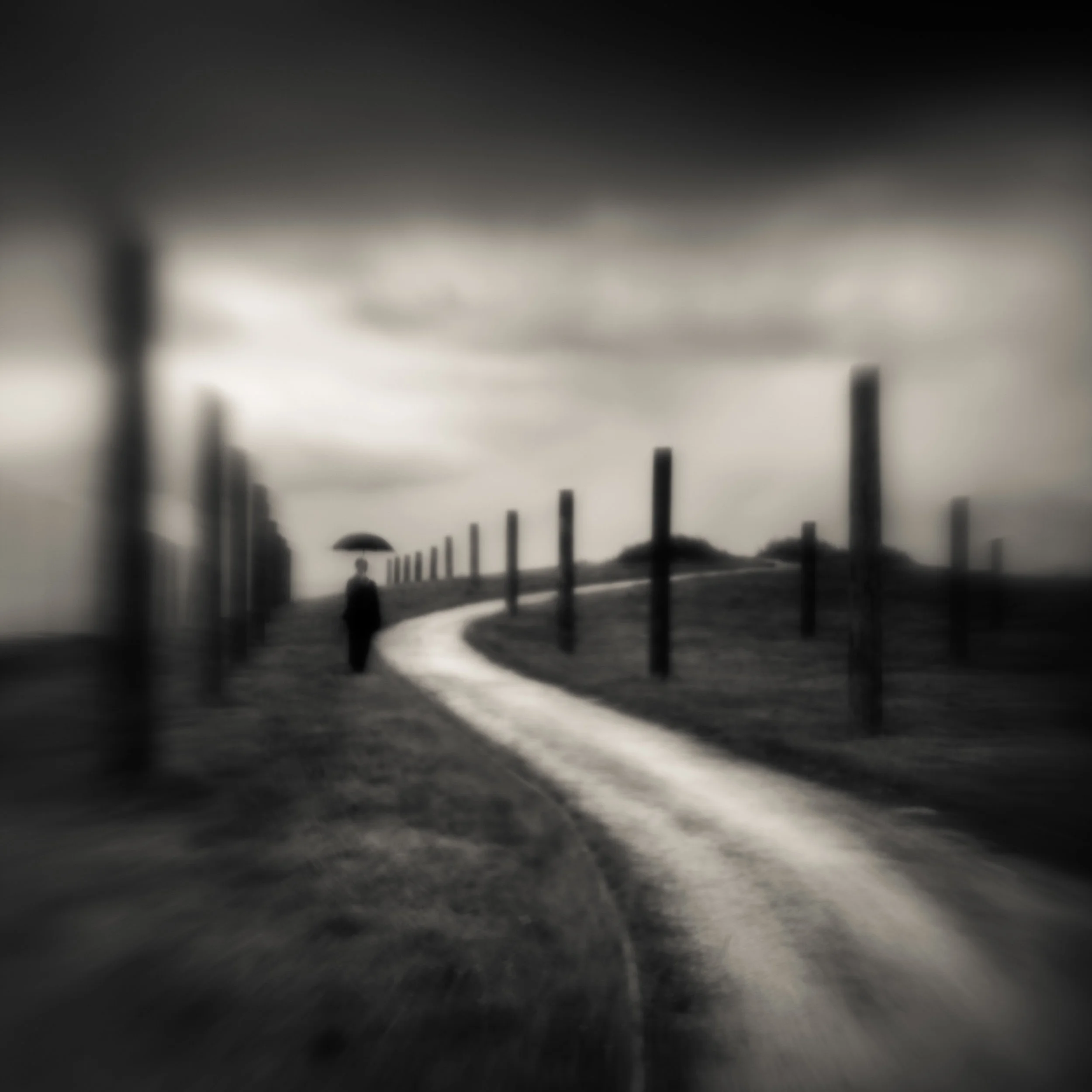 Palo Alto byxbee park black white curve path poles blur mysterious figure umbrella traveler