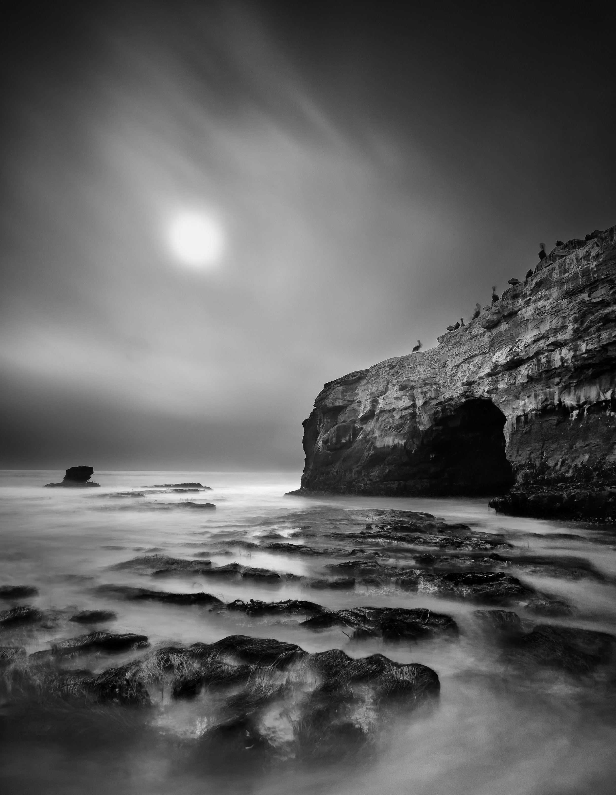 Santa Cruz black white natural bridges arch