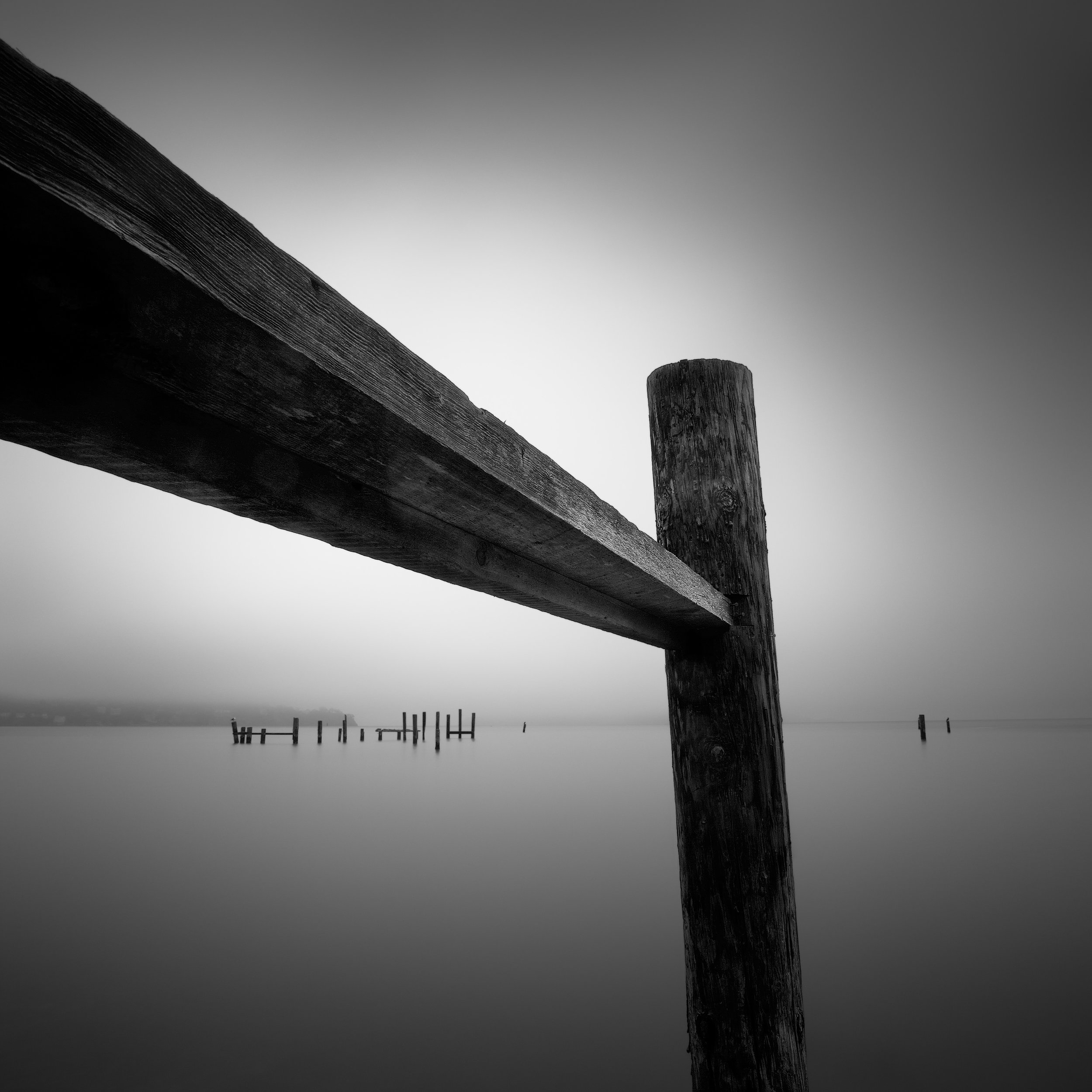 Sausalito black white pier pilings fog vestiges