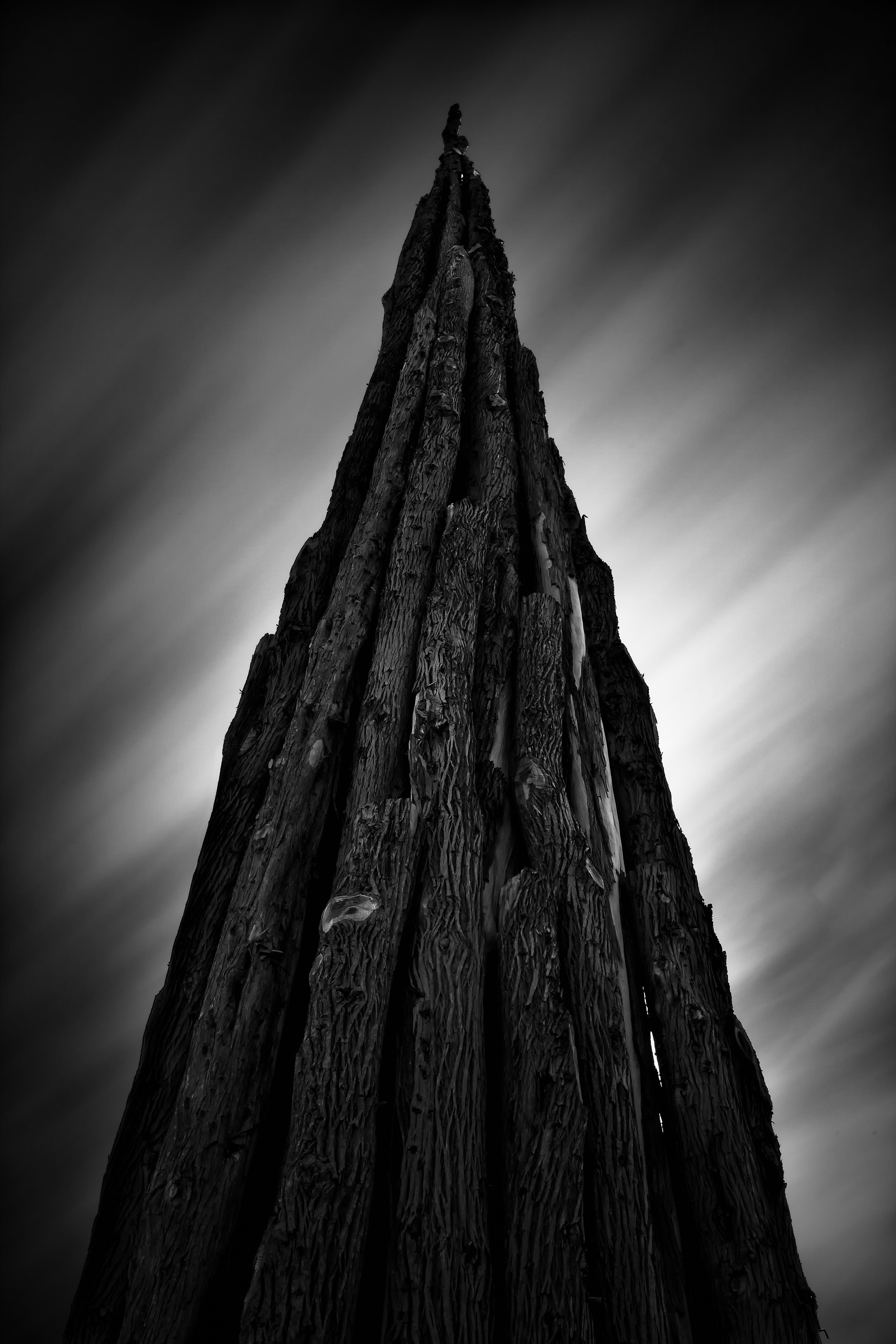 presidio andy goldsworthy spire wood sky