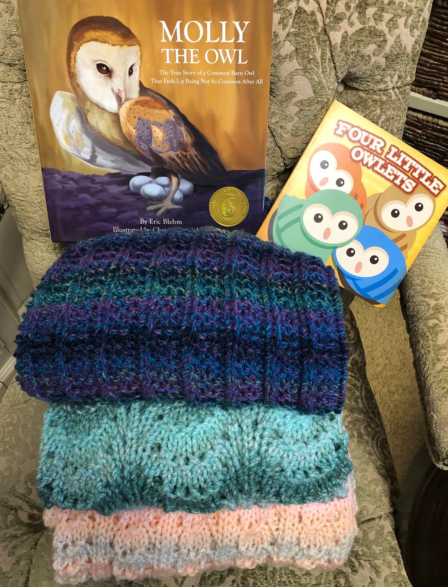 AE - Donna R 2019 donations 6 along with books to read to Violet.jpg