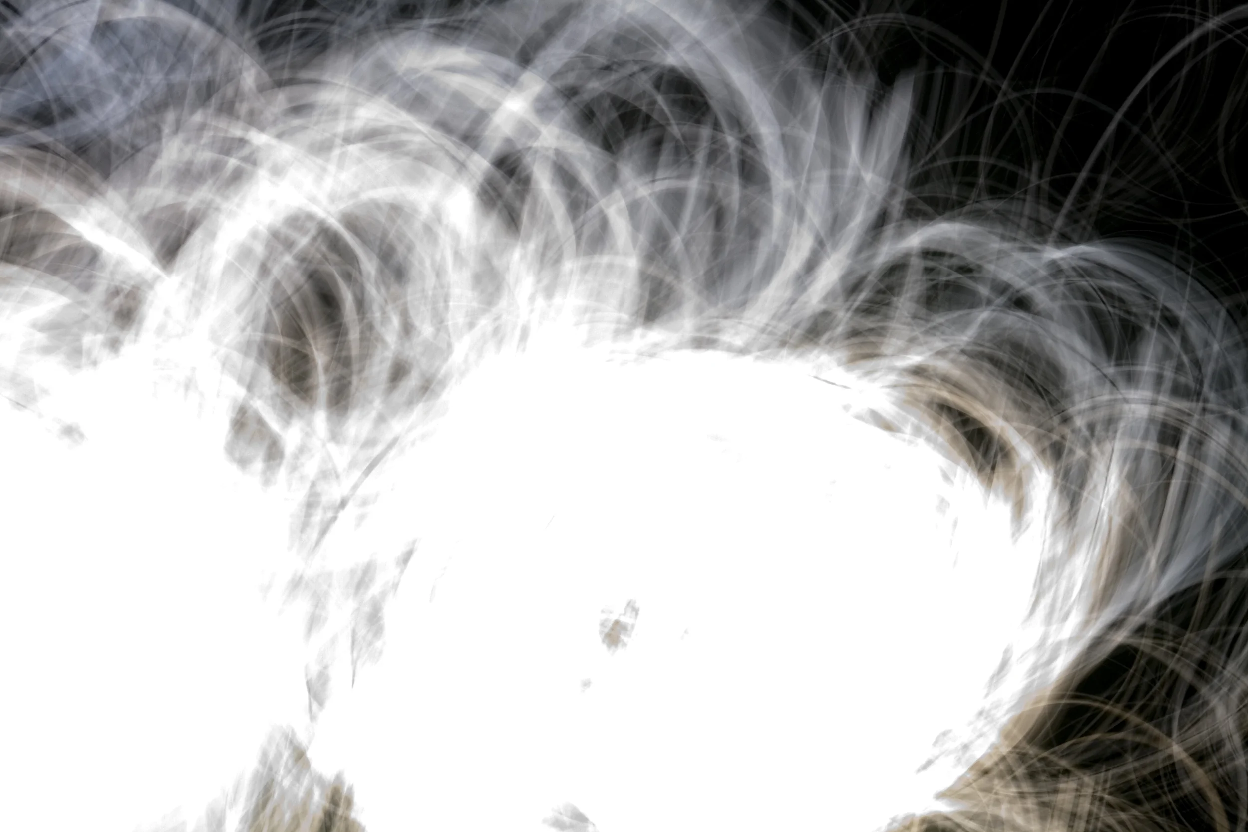 sunlight paint.jpg