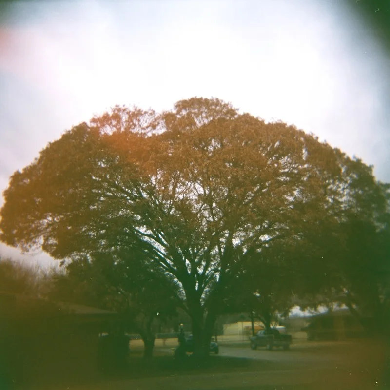 holga2.JPG