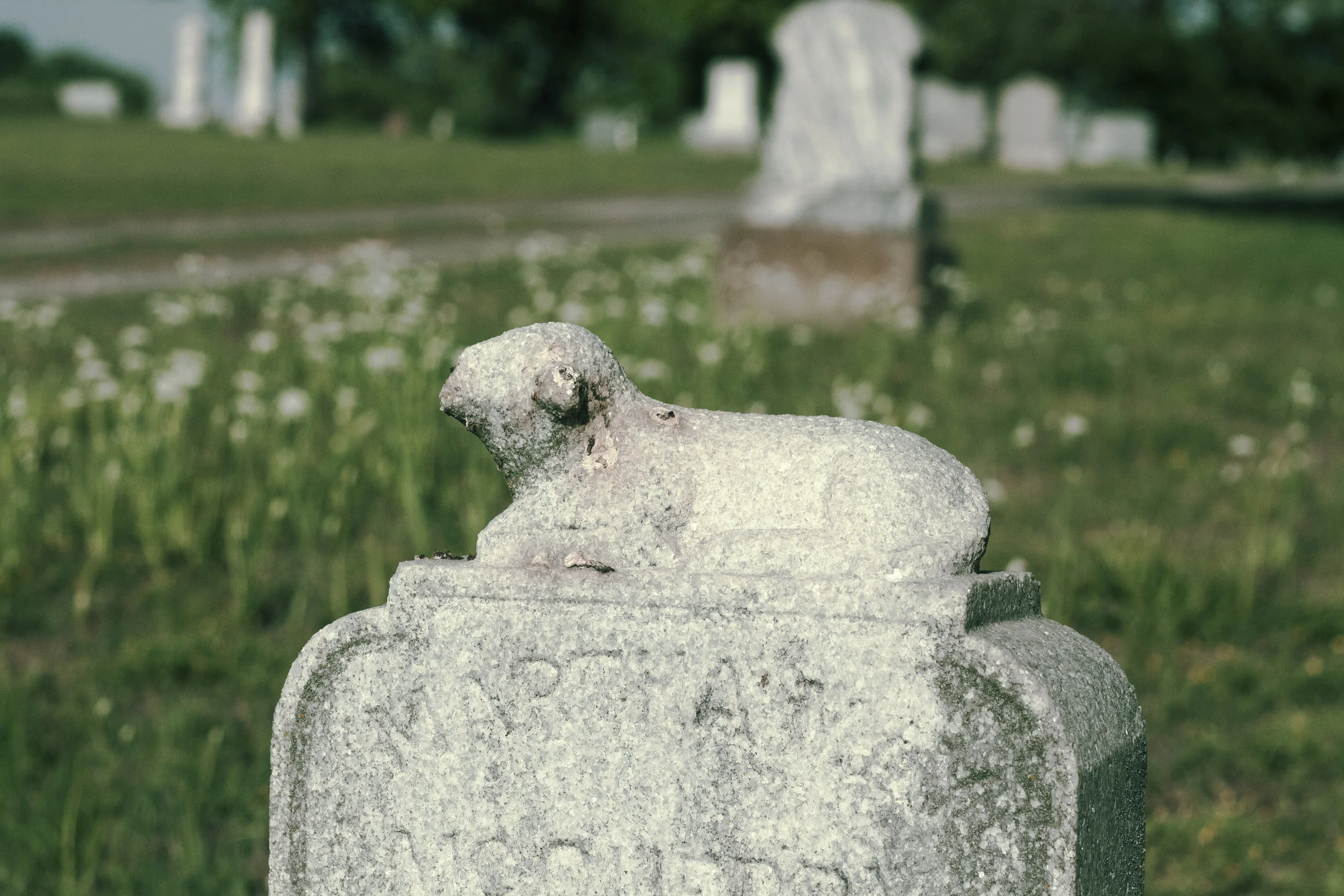 CemeteryFlowersEdit4.jpg