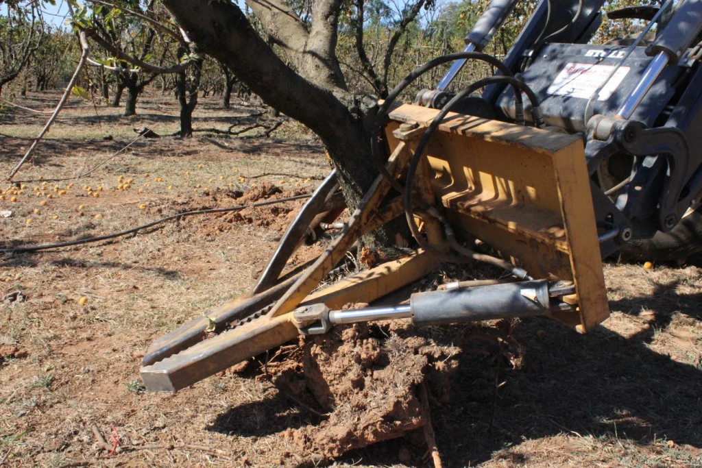 Boxthorn Pullers — PJ Green