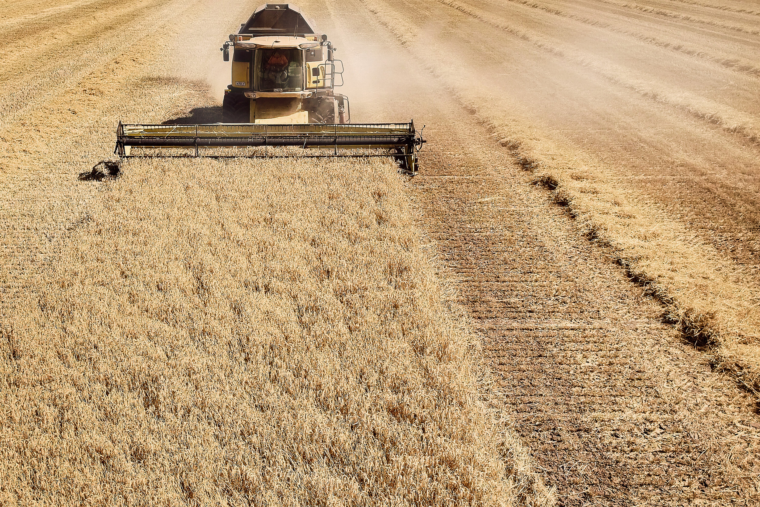 Trent_Perrett_New_Holland_Industrial_002.jpg