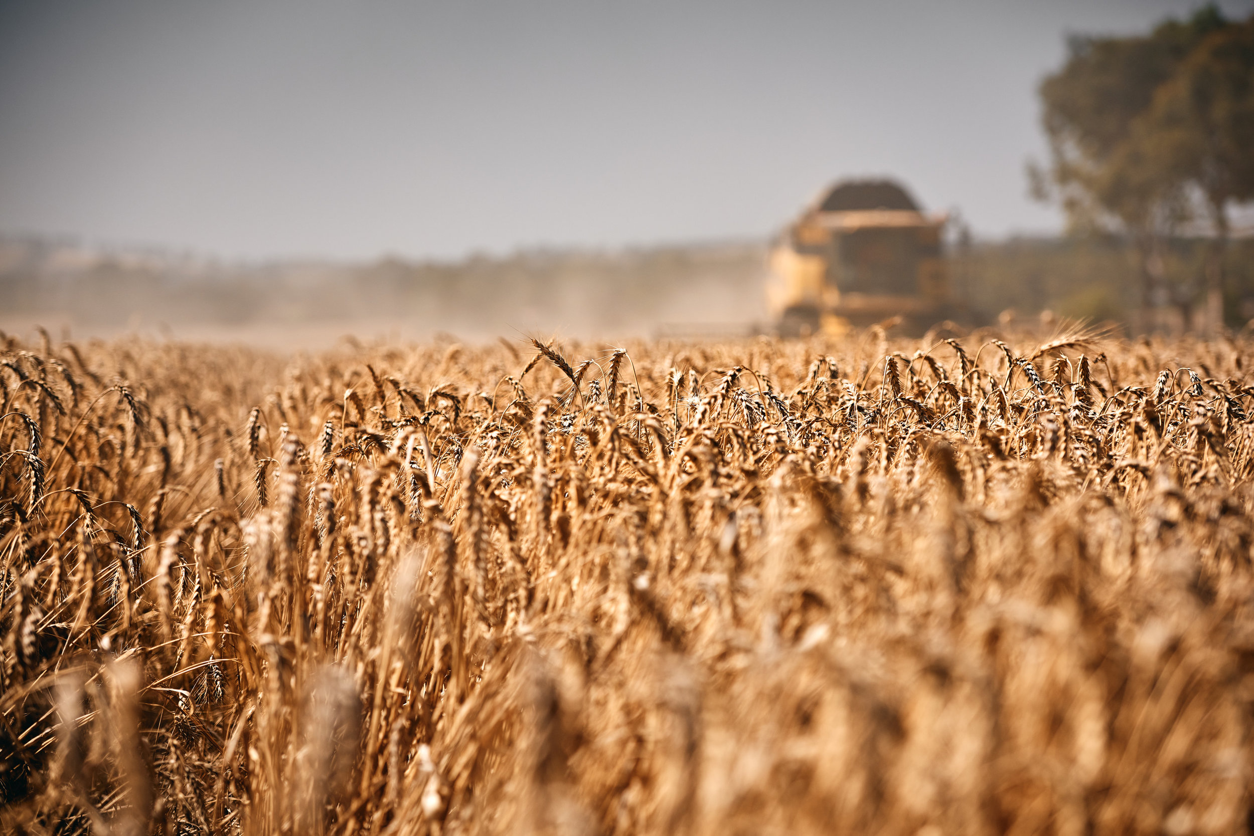 Trent_Perrett_New_Holland_Industrial_003.jpg