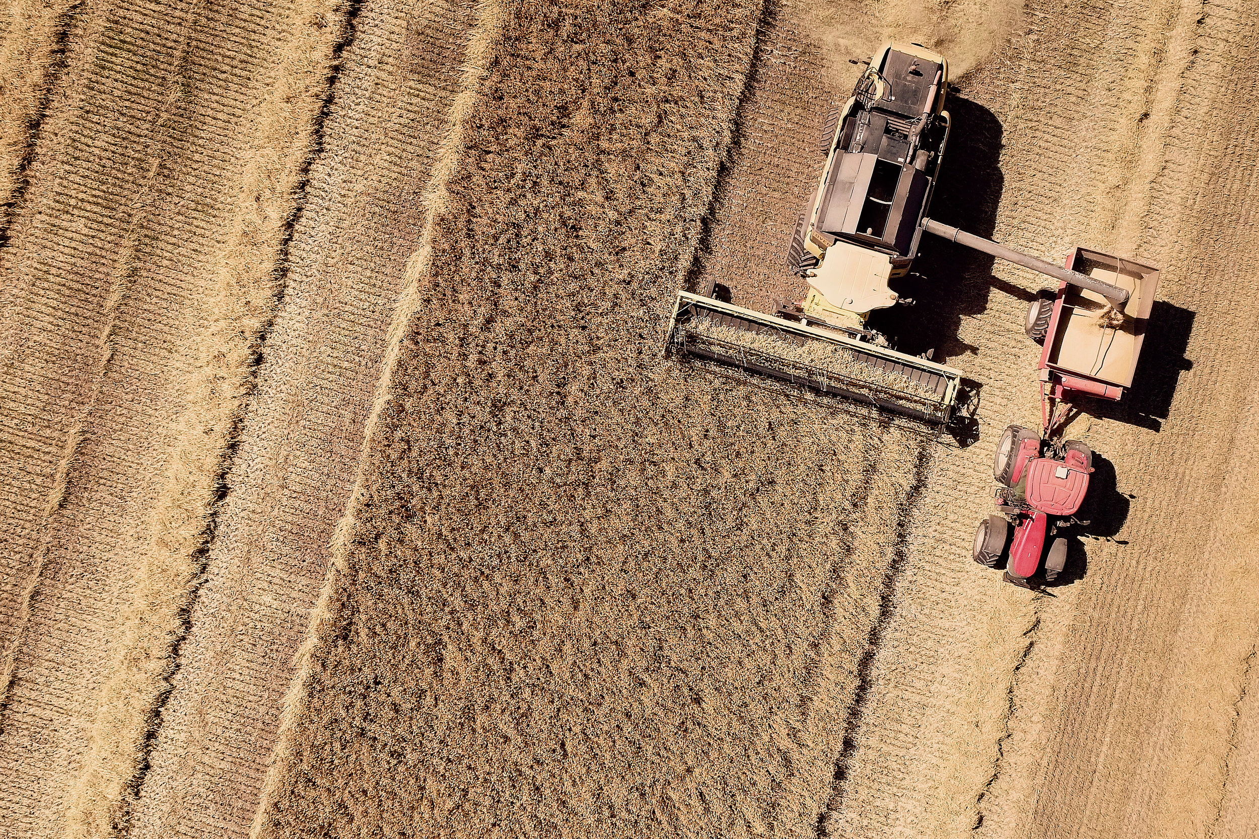 Trent_Perrett_New_Holland_Industrial_005.jpg