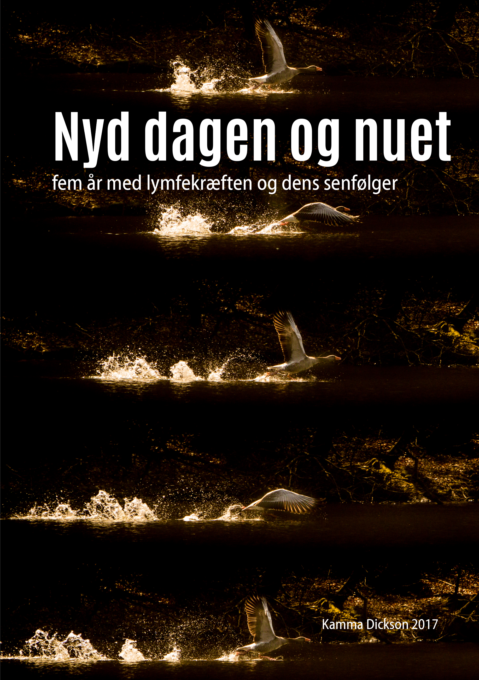 Cover Page