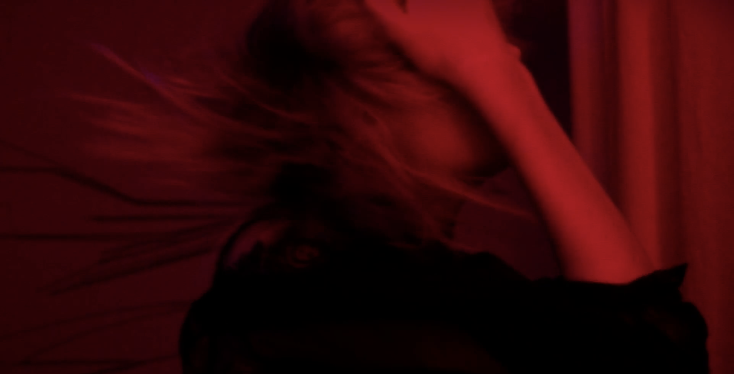 Screen Shot 2018-01-23 at 7.06.53 PM.png