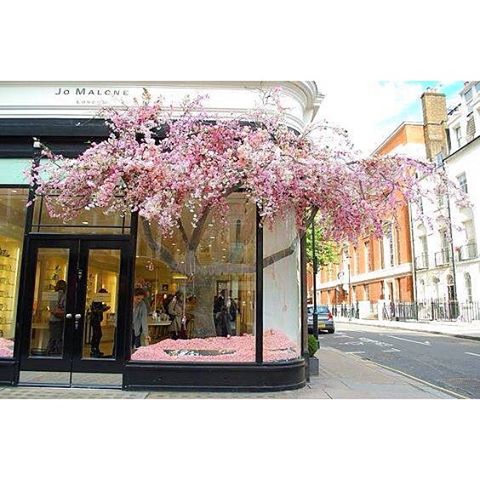The Shops of London are Overflowing with Flowers