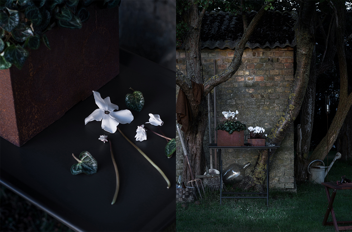 BLOMSTERFRÄMJANDET