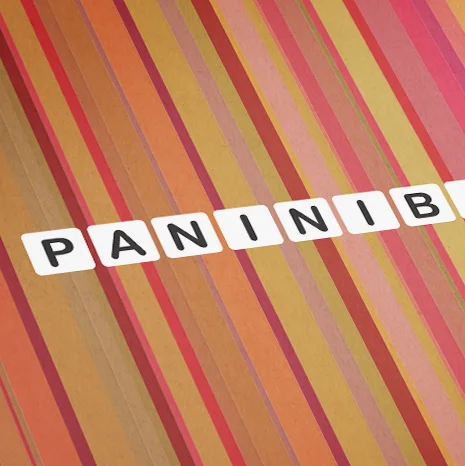 paninibar_logo.jpg