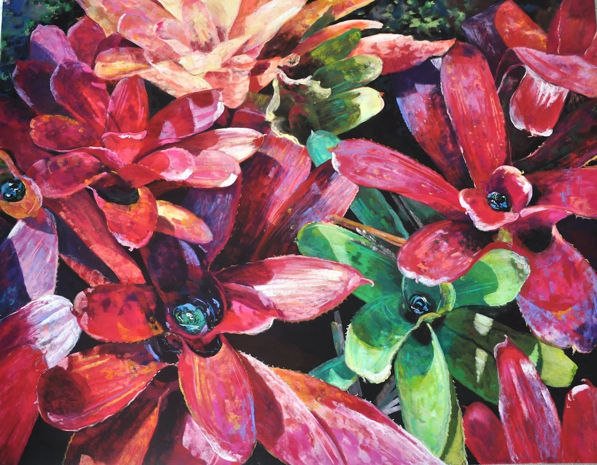 roch_04_violettas sister.jpeg