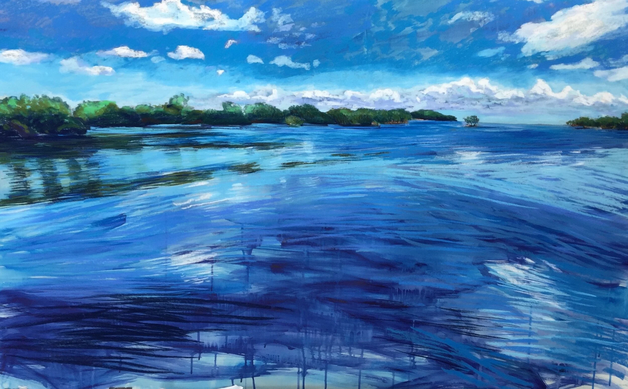 gliding across to boca chita.jpeg