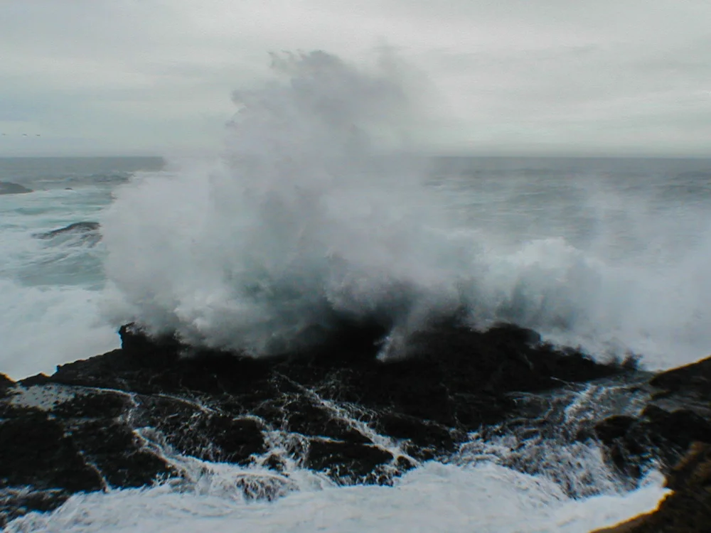 Point Lobos State Park, California
