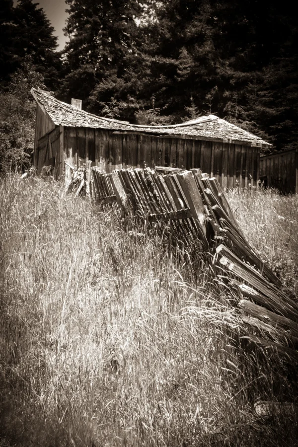 Gus thomas Photo Arts--2015-IMG_8491.jpg