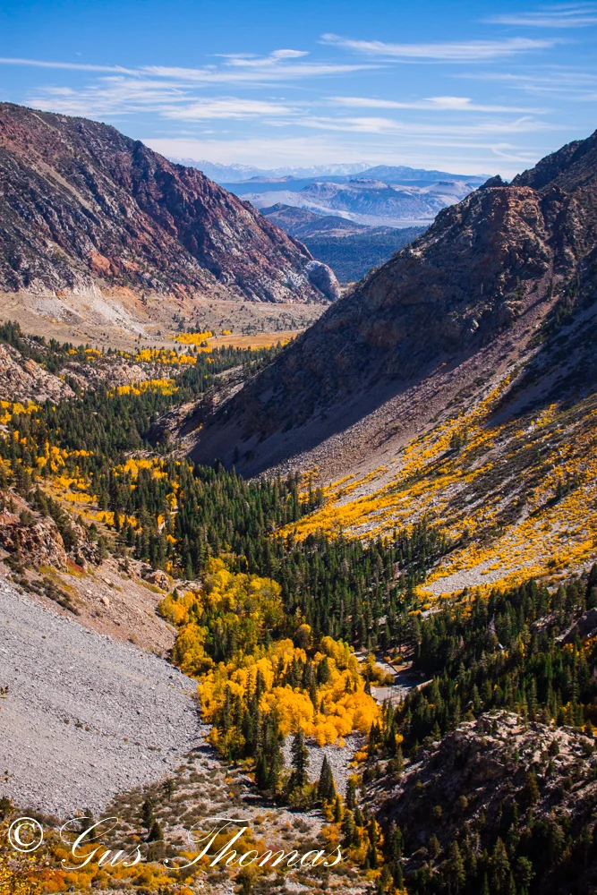 _MG_2452.jpg