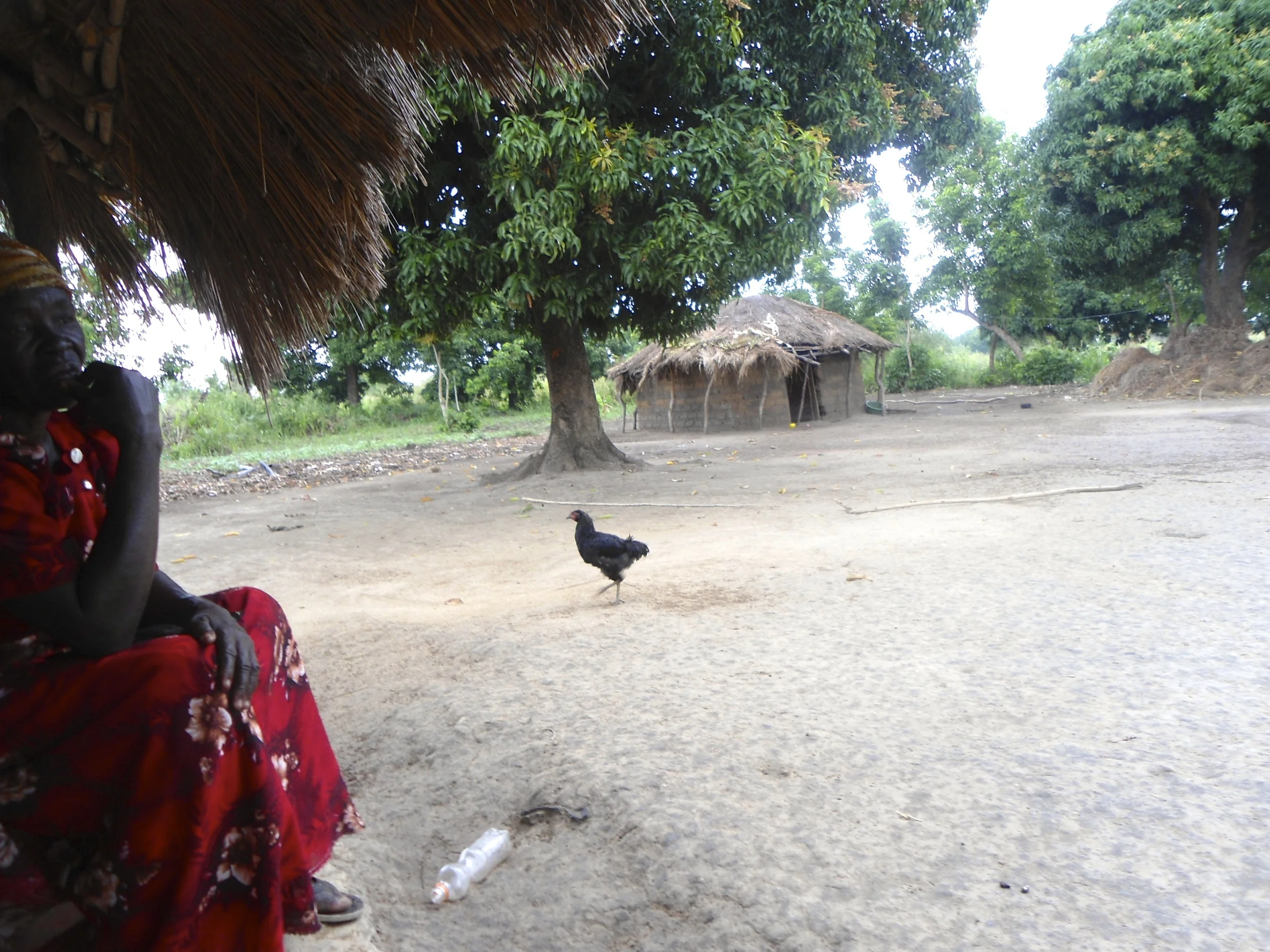 Gradiva on her compound