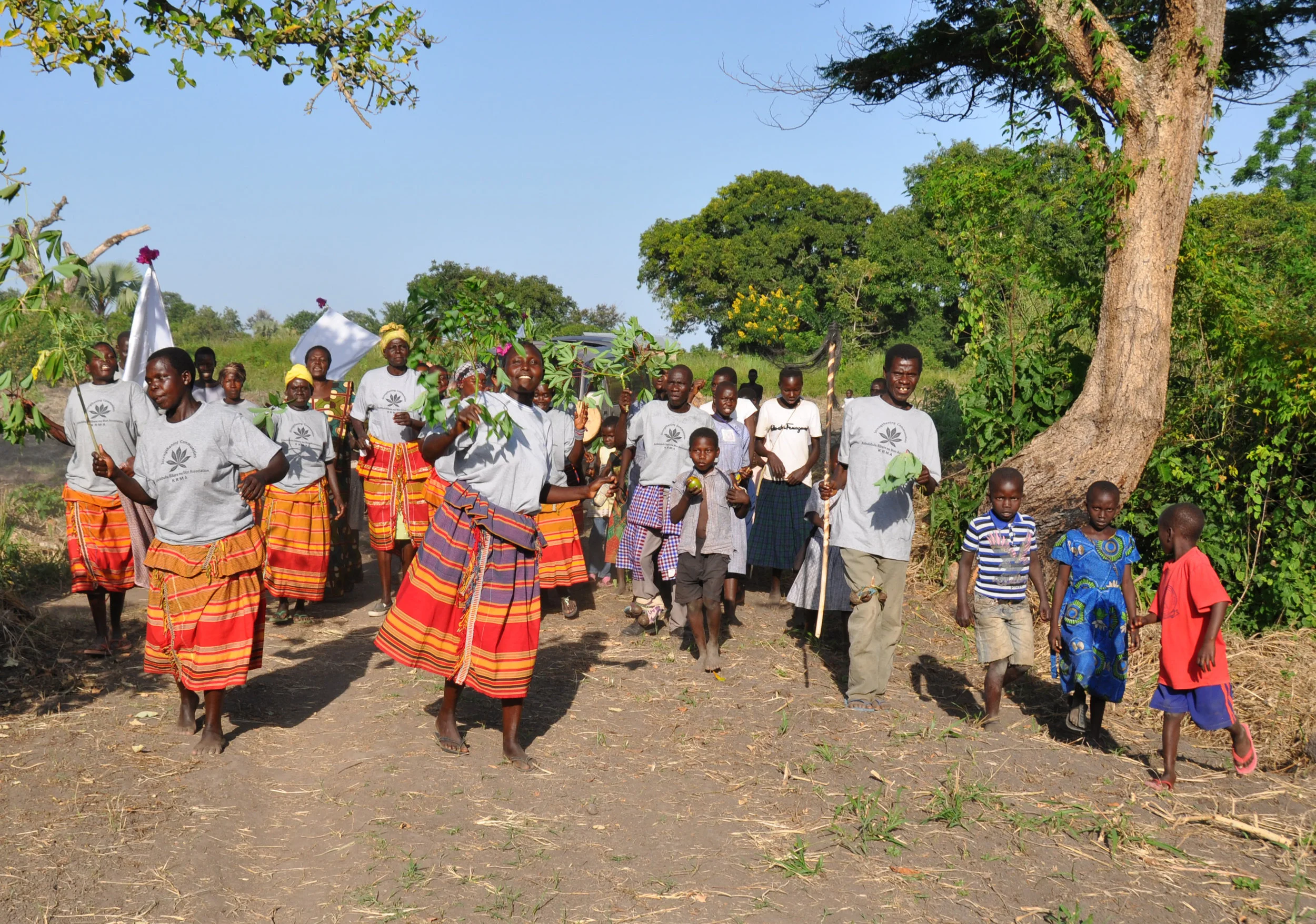Returning to Kobulubulu!