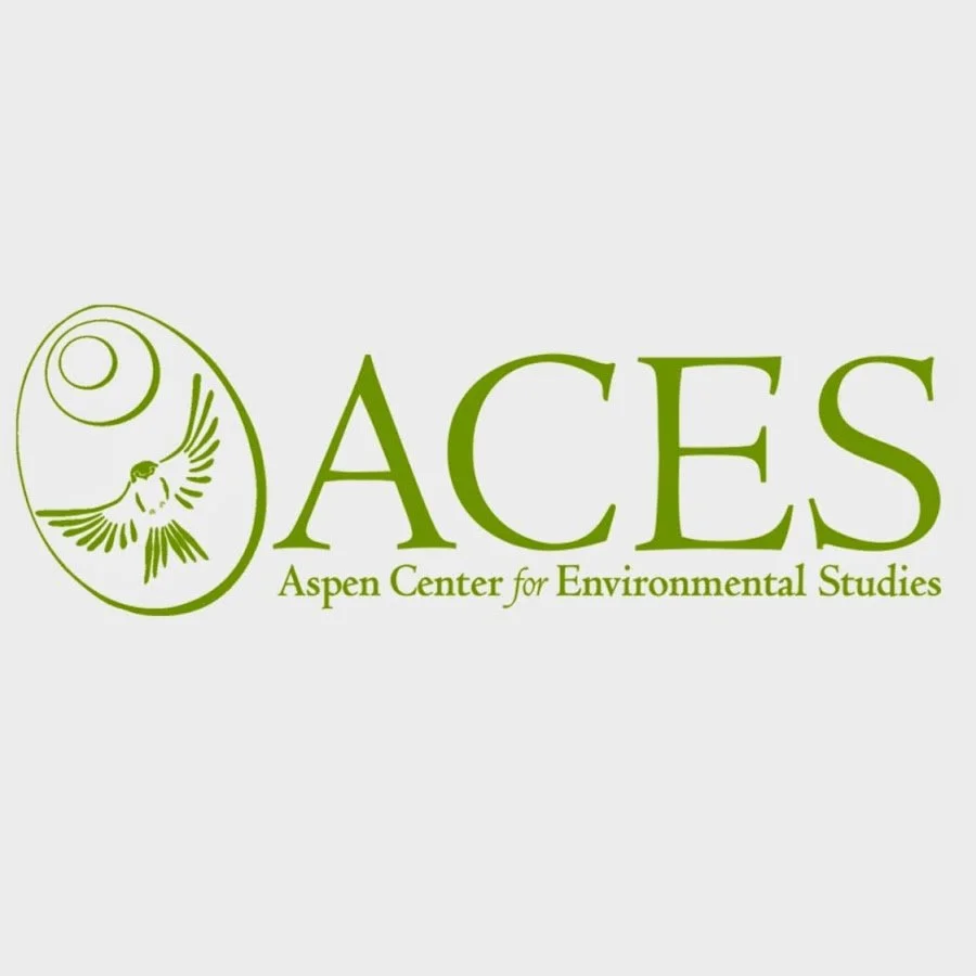ACES Preschool 1 & 2