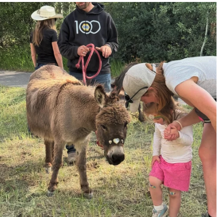 Smiling Goat Ranch