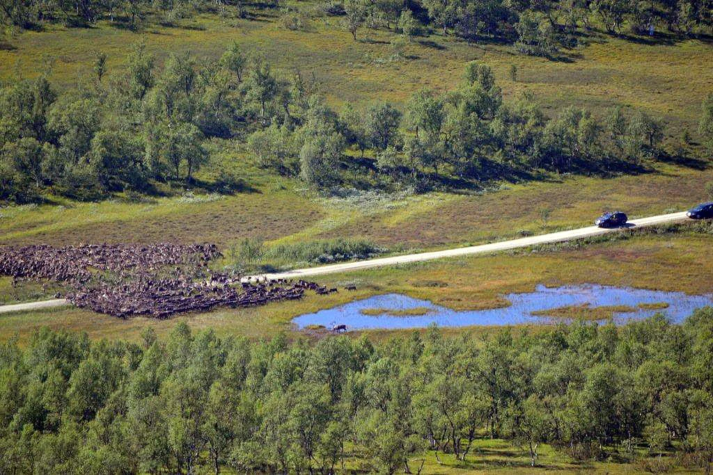 Foto: Ingebrigt Storli