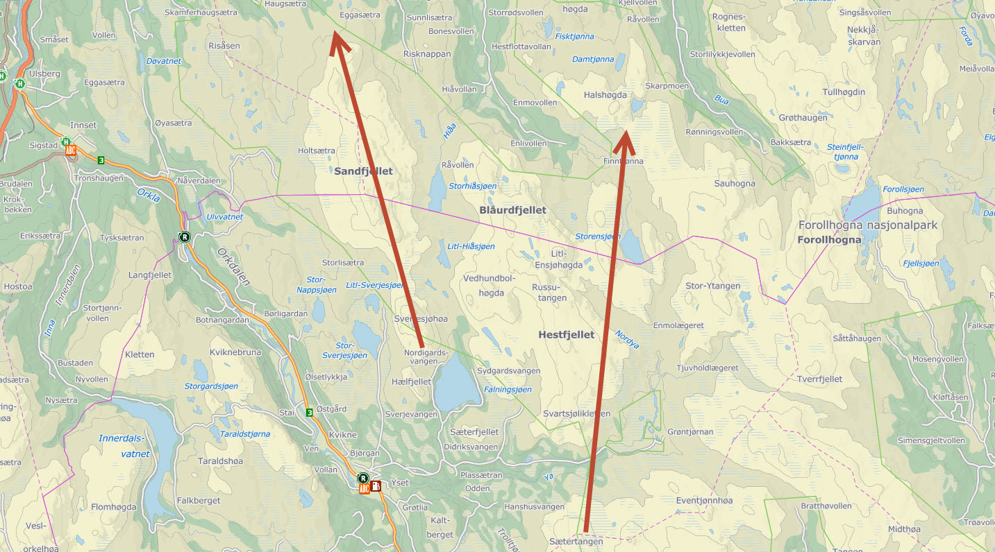 Vinden har snudd og villreinhopene i Forollhogna befinner seg nå nord for fylkesgrensa. Dyrene startet trekket i helga. Kart: Finn.no
