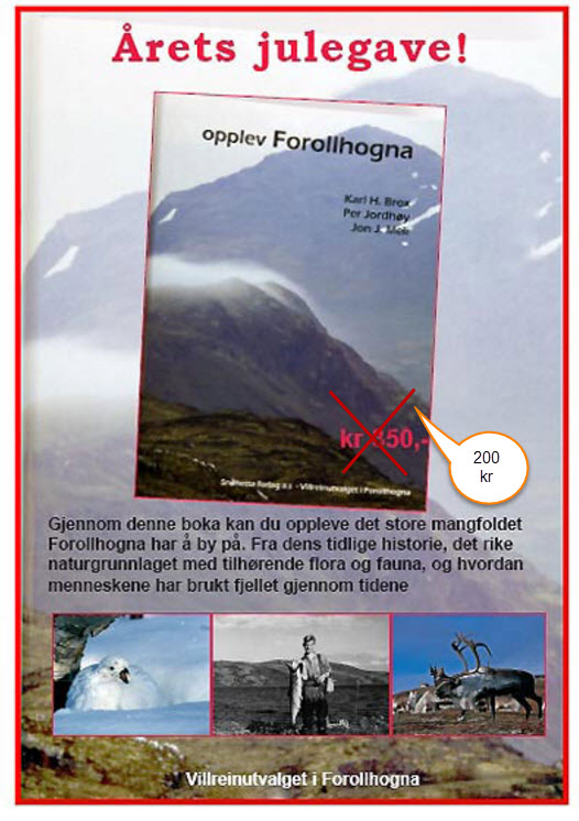 Benytt anledningen nå, bestill "Opplev Forollhogna" til "jubileumspris" 200 kroner. Send epost til Forollhogna villreinutvalg. Husk å oppgi navn og adresse.