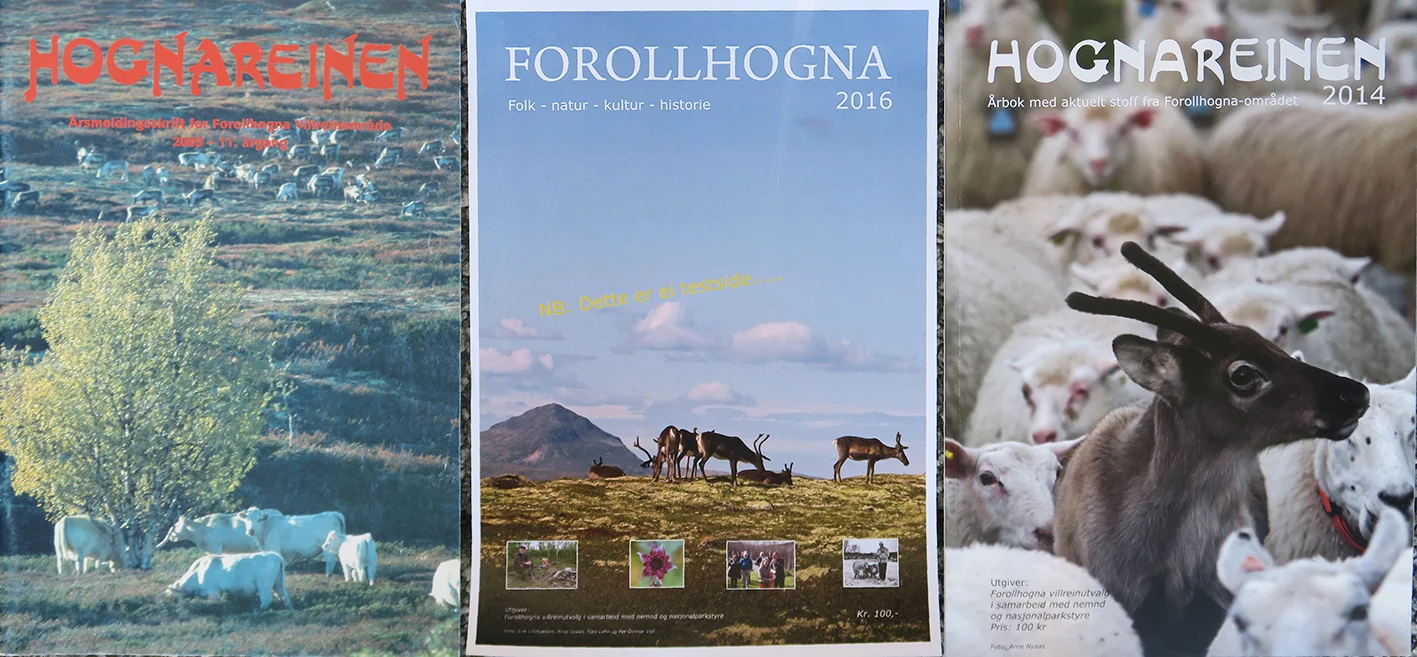 Villreinutvalget sammen med villreinnemnda og nasjonalparkstyret satser friskt og utgir et felles magasin, "Forollhogna 2016". Bladet vil være i handelen fra 25. juli og utover høsten. Opplaget blir på 1500 eksemplarer. NB: "Forollhogna 2016" (bildet i midten) er så langt- bare et forslag. Foto: A. Nyaas