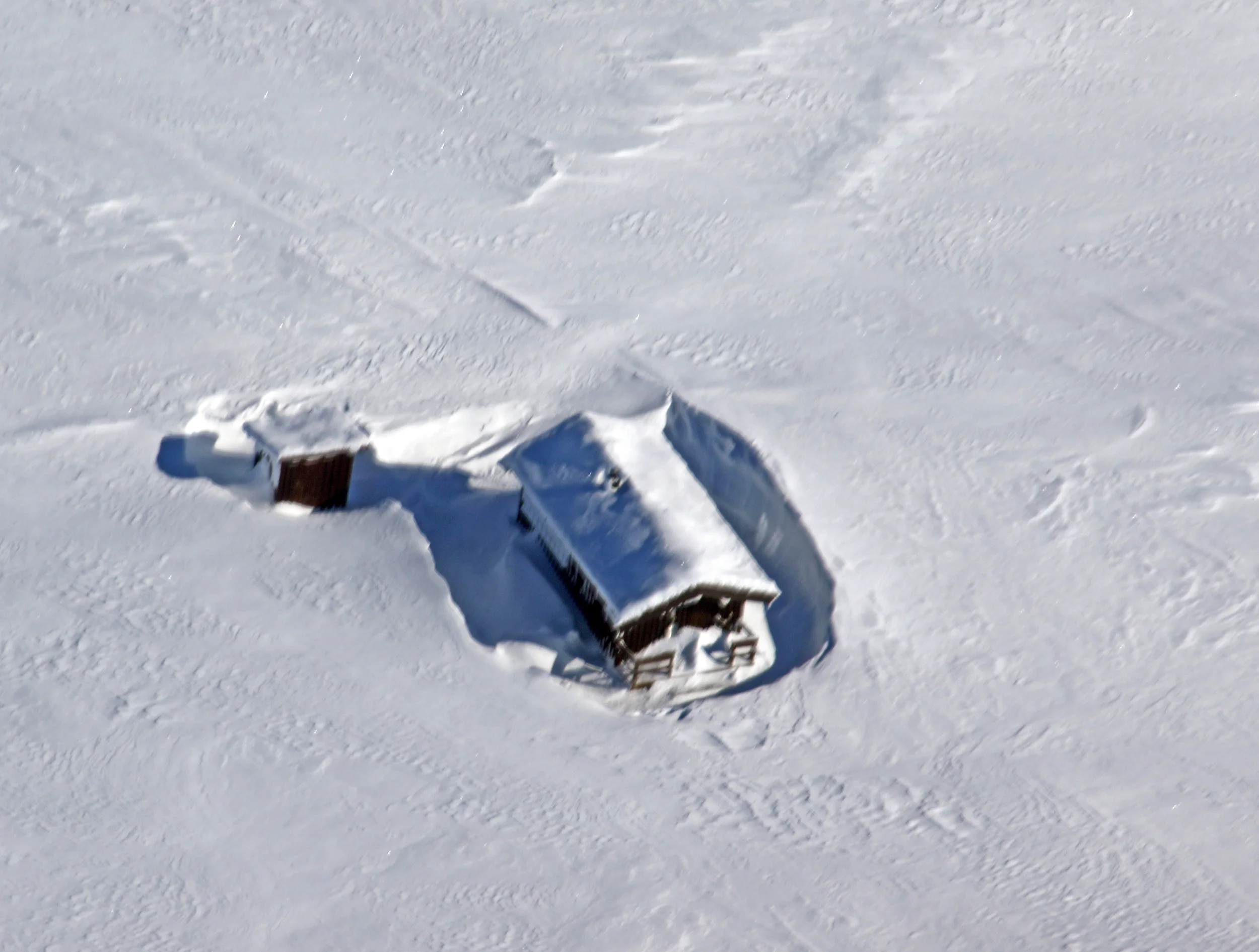 Sør for fylkesgrensa, som her på Åslifjellet i Dalsbygda, var det snø nok og meget gunstige sporingsforhold (lett å oppdage sporslepene fra småflyet). Foto: A. Nyaas