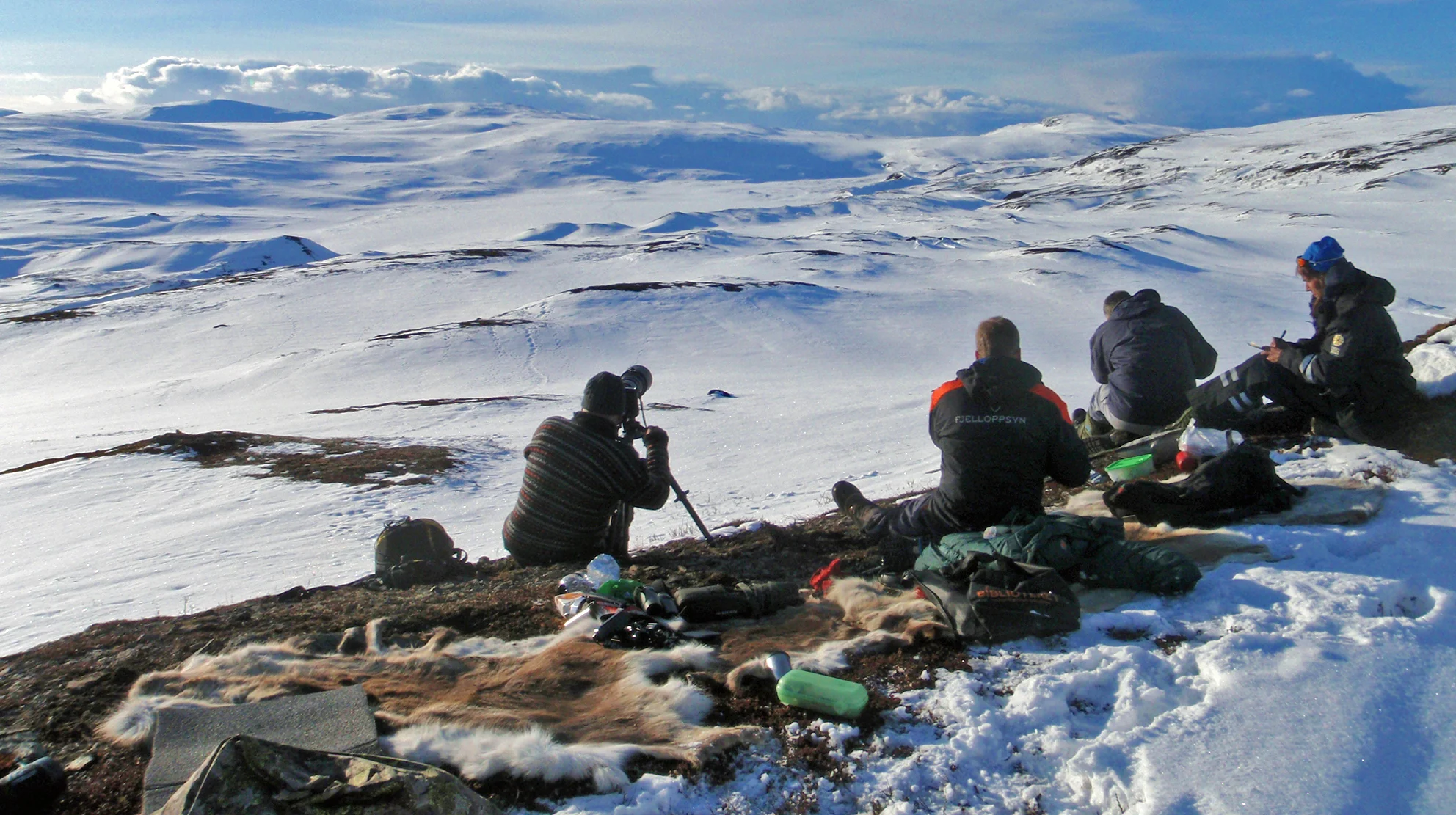 Det er viktig å skaffe seg god oversikt - og ikke minst, være langt nok unna til ikke å forstyrre. Foto: Kristin Lund Austvik