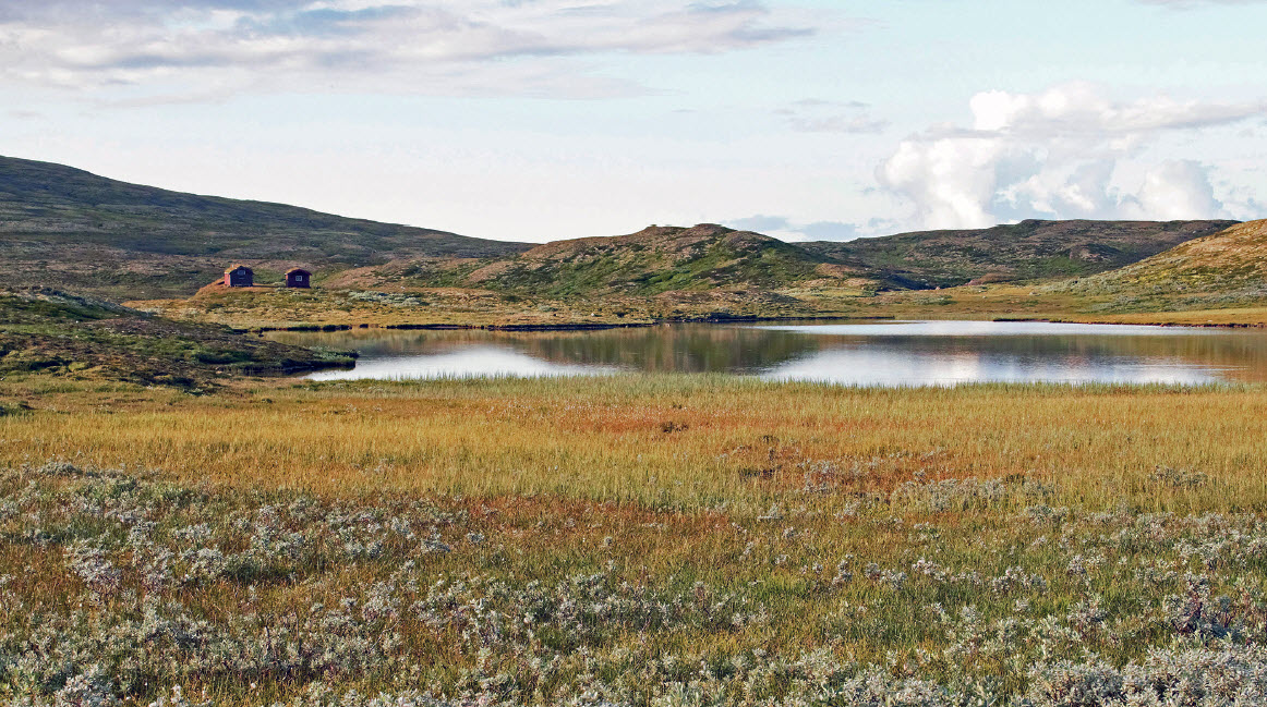 Foto fra artikkelen "Mimretur på kjente trakter", skrevet av Per Gunnar Voll. Bjørndalsbu i bakgrunnen. "Det var denne tjønna som var full av beitende rein en måneskinnsnatt" opplyser forfatteren. Foto: Per Gunnar Voll