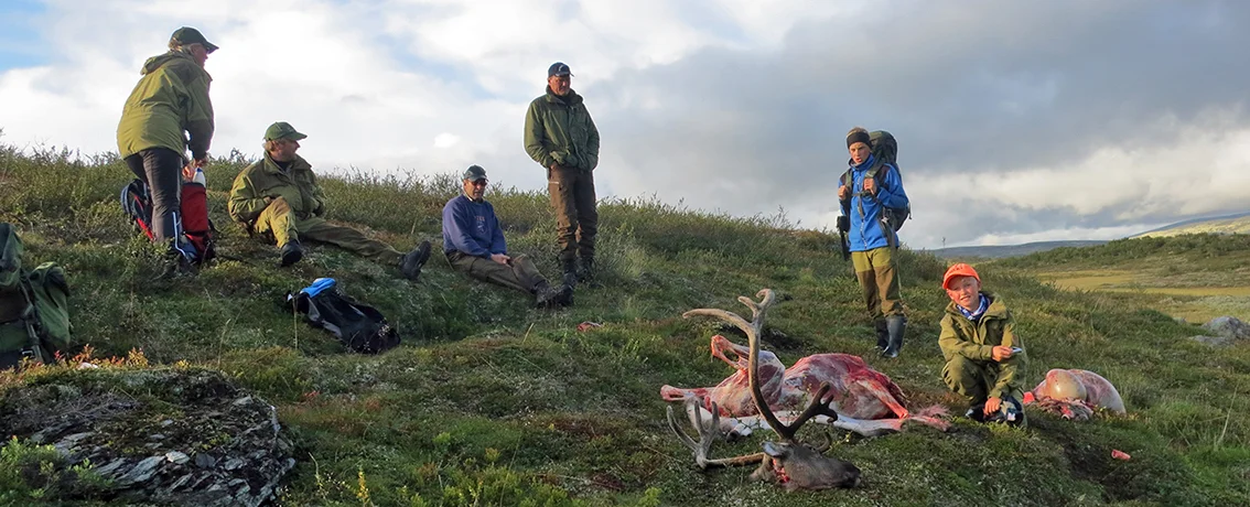 Alle som feller villrein i Forollhogna i høst, må svare på spørsmålene som stilles i "Jegerundersøkelsen" (deles ut sammen med jaktkortene). Ill.foto fra jakta i 2014: Arne Nyaas