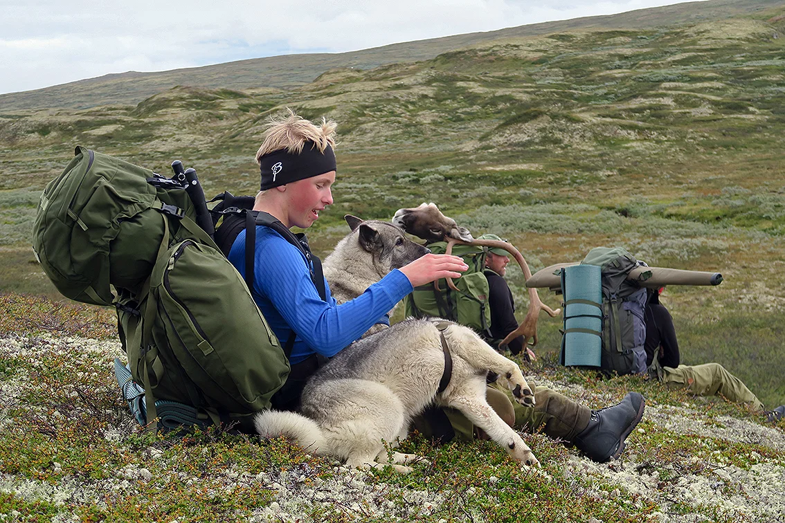 598 dyr av kvoten på 750 ble felt i høst. Nå foreligger oppsynsrapporten etter årets jakt. Foto 2016: Arne Nyaas