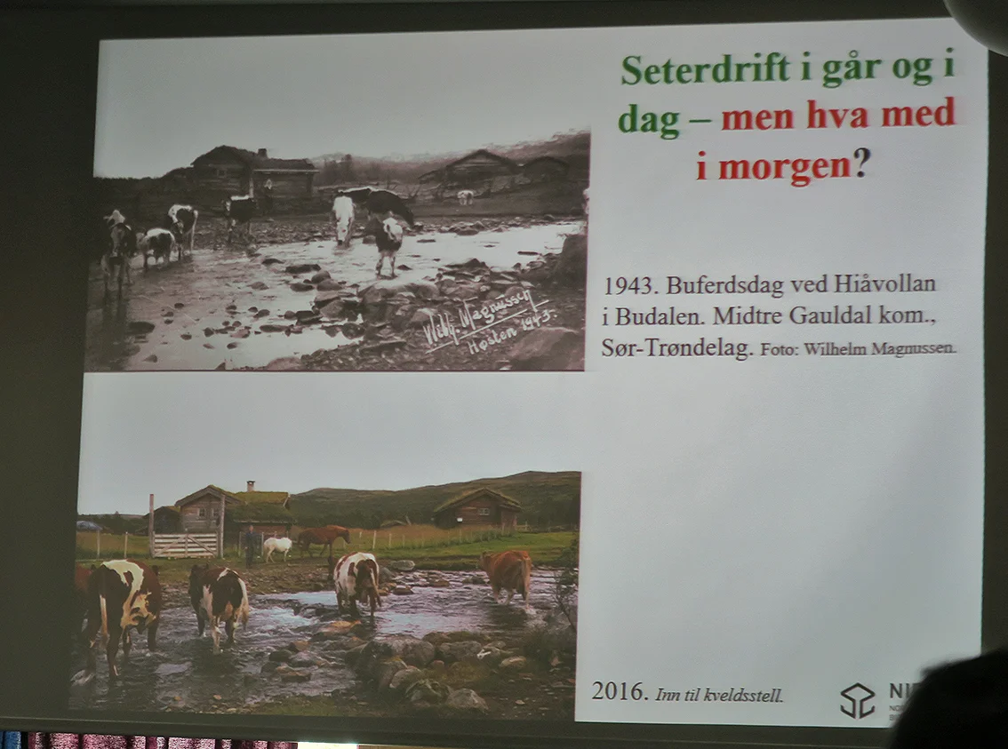 Her et av bildeparene fra Budal. Foto (nederst): Oskar Puschmann, NIBIO