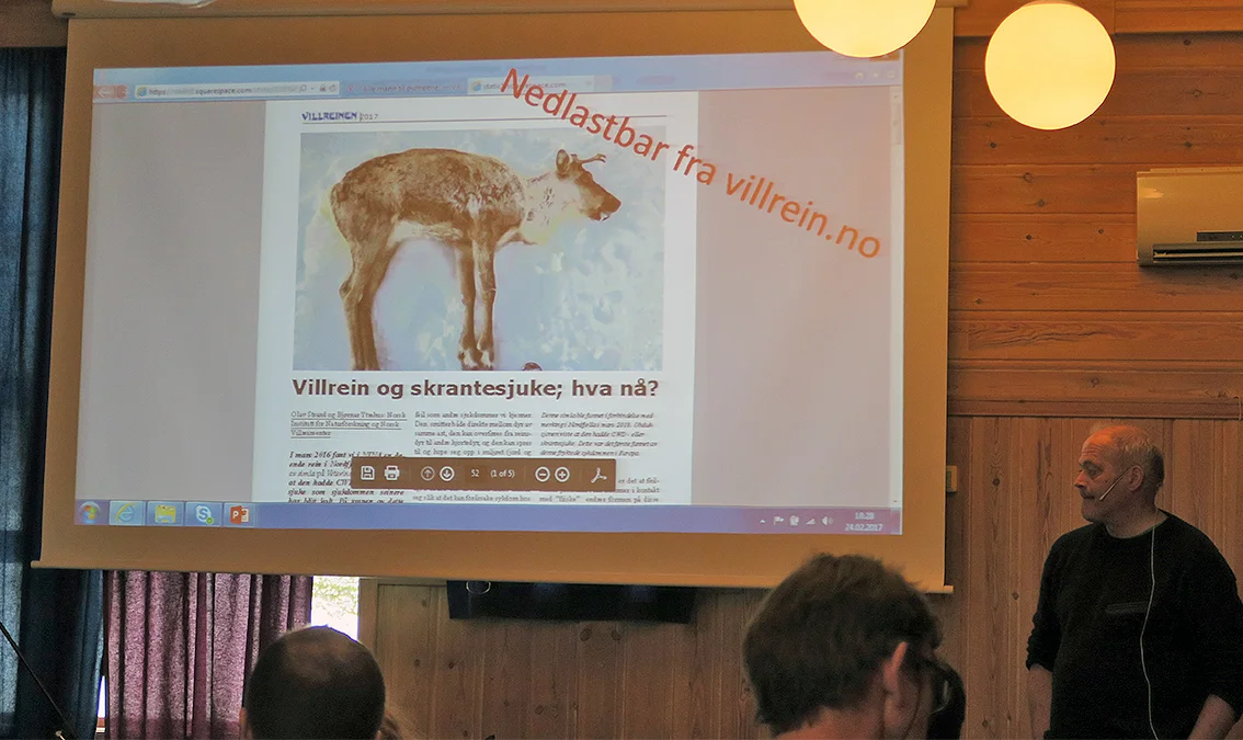 Olav Strand fra Norsk institutt for naturforskning (NINA) orienterte både om den fryktede skrantesjuka som i fjor vinter for første gang ble påvist i Norge (ei villreinsimle i Nordfjella) - og om det pågående kalvings- og overvåkingprosjektet på villrein i Forollhogna. Last ned artikkelen om skrantesjuke (pdf fra villrein.no / en artikkel som kommer på trykk i "Villreinen 2017").