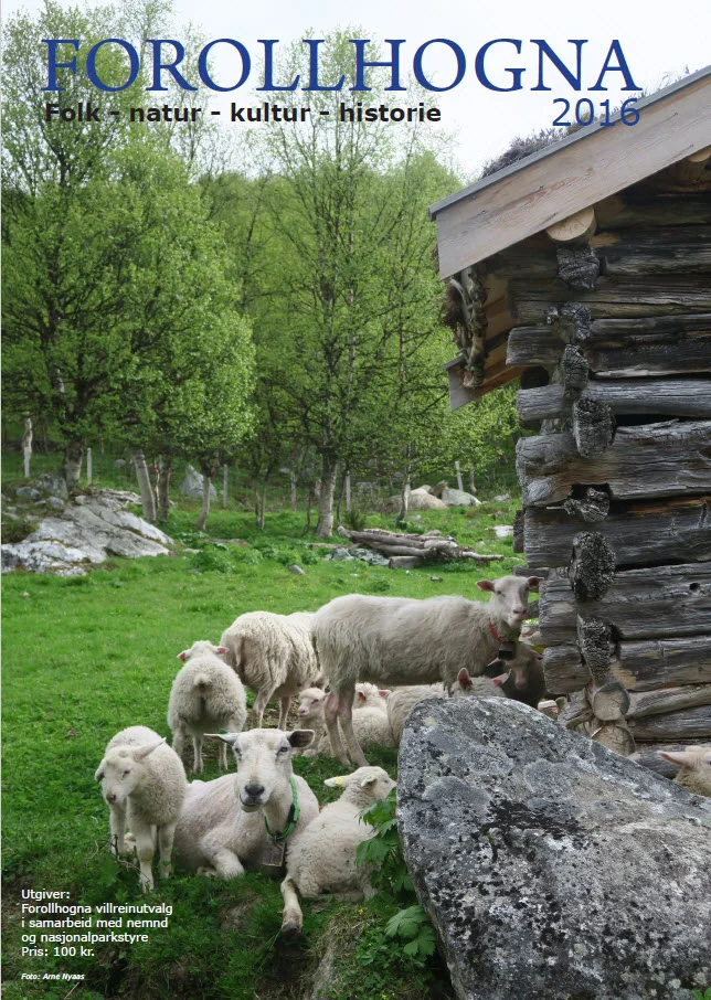 " Forollhogna 2016 " ble trykket i et opplag på 1500 eksemplarer. Fra og med 2016 ble det bestemt at rettighetshaverne i Forollhogna skal distribuere bladet sammen med villreinjaktkortene. I tillegg til de 750 eksemplarene som gikk ut på denne måten, ble den andre halvparten av opplaget lagt ut for salg. 2016-utgaven ble meget godt mottatt, og nesten hele opplaget ble utsolgt! Last ned side 1 innhold (pdf). Nå jobbes det med 2017-utgaven som skal være klar for salg/distribusjon fra månedsskiftet juni/juli. Oppdatering: 09.04.2017