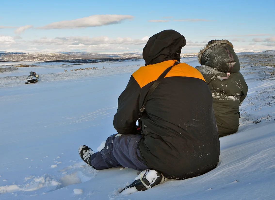 Denne bukkeflokken kom for å "sjekke ut" mannskapet. Foto: Kristin Lund Austvik, Kvikne Utmarksråd.